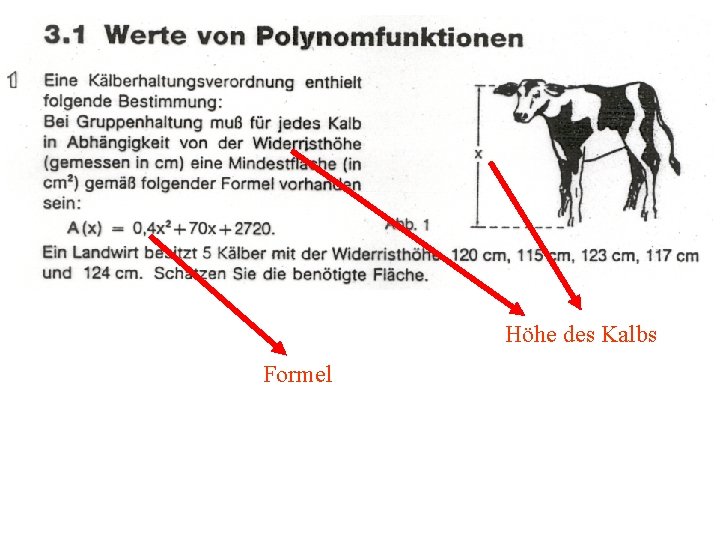 Höhe des Kalbs Formel 