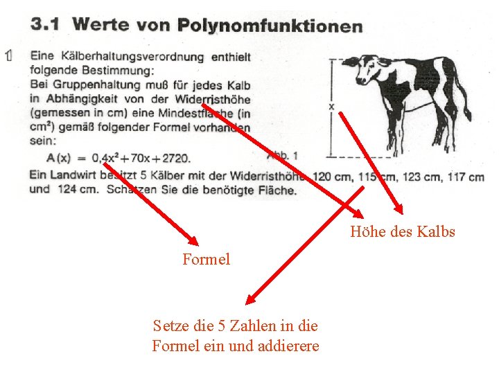 Höhe des Kalbs Formel Setze die 5 Zahlen in die Formel ein und addierere