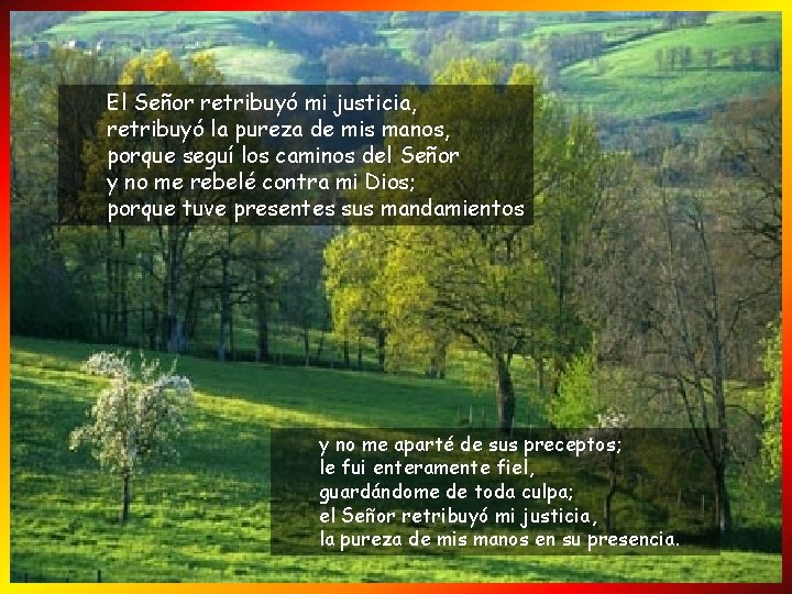 El Señor retribuyó mi justicia, retribuyó la pureza de mis manos, porque seguí los
