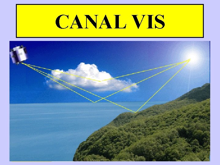 CANAL VIS 