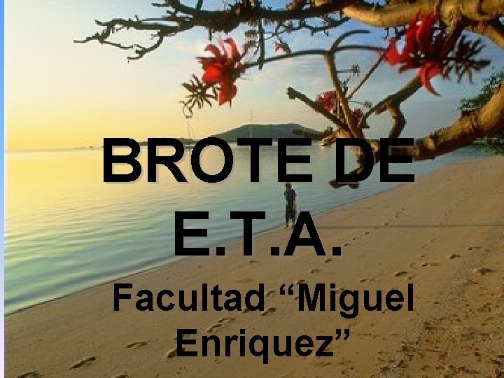 BROTE DE E. T. A. 20 -ABRIL-2004 Facultad “Miguel Enriquez” PROF. R. MOYA GÓMEZ