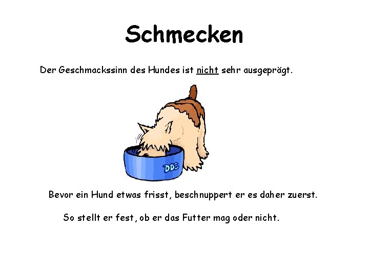 Schmecken Der Geschmackssinn des Hundes ist nicht sehr ausgeprägt. Bevor ein Hund etwas frisst,