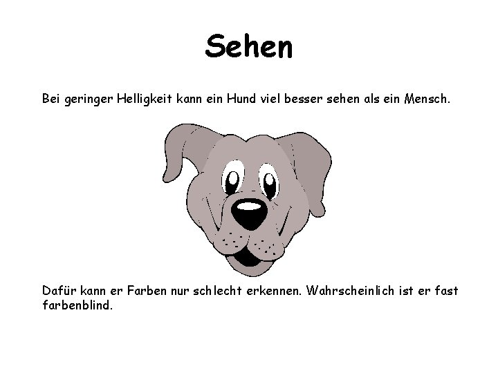 Sehen Bei geringer Helligkeit kann ein Hund viel besser sehen als ein Mensch. Dafür