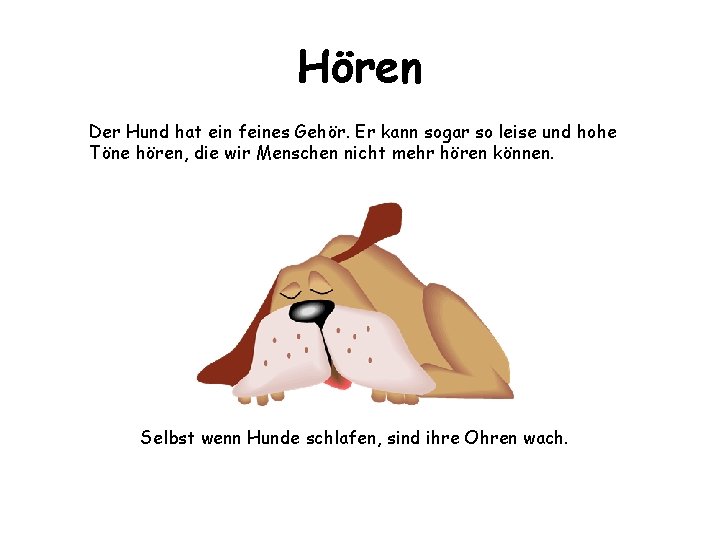 Hören Der Hund hat ein feines Gehör. Er kann sogar so leise und hohe