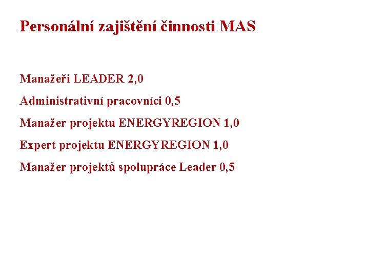 Personální zajištění činnosti MAS Manažeři LEADER 2, 0 Administrativní pracovníci 0, 5 Manažer projektu