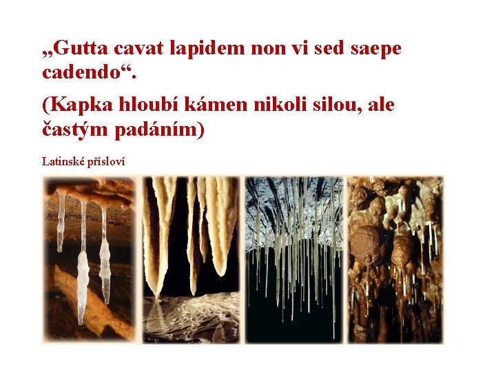 „Gutta cavat lapidem non vi sed saepe cadendo“. (Kapka hloubí kámen nikoli silou, ale