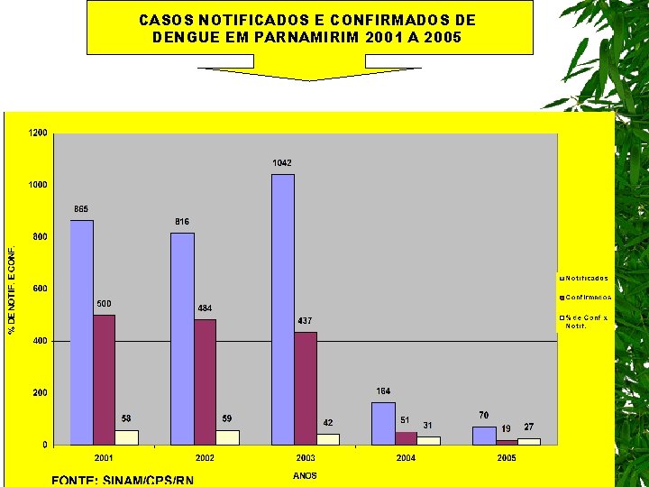 CASOS NOTIFICADOS E CONFIRMADOS DE DENGUE EM PARNAMIRIM 2001 A 2005 
