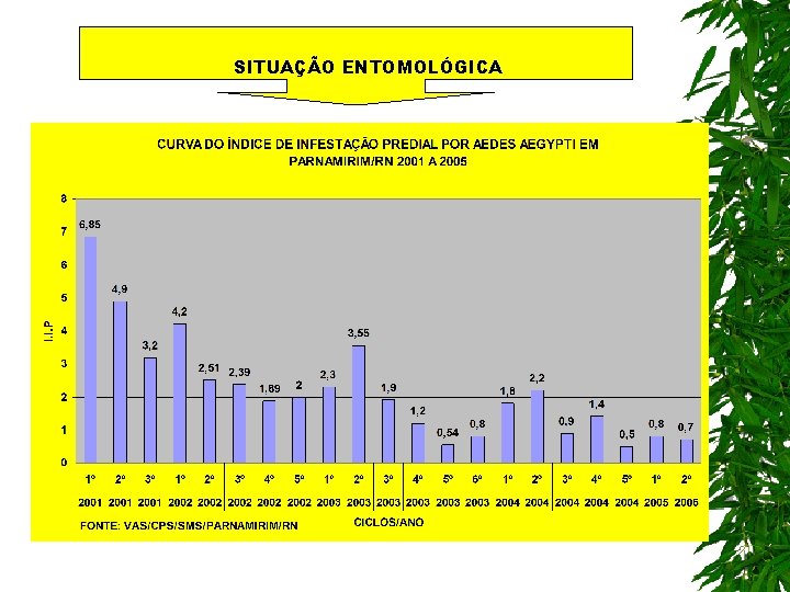 SITUAÇÃO ENTOMOLÓGICA 