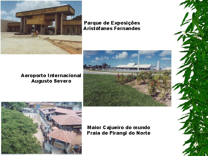 Parque de Exposições Aristófanes Fernandes Aeroporto Internacional Augusto Severo Maior Cajueiro do mundo Praia