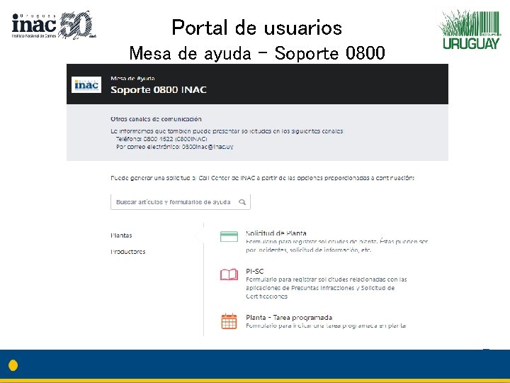 Portal de usuarios Mesa de ayuda – Soporte 0800 La aproximación que los ciudadanos