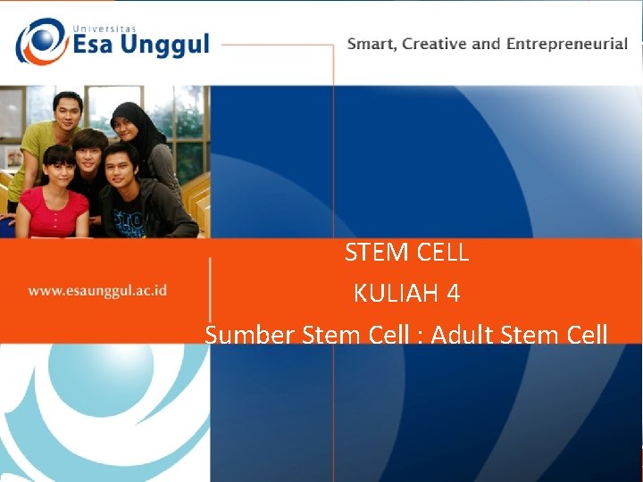 STEM CELL KULIAH 4 Sumber Stem Cell : Adult Stem Cell 