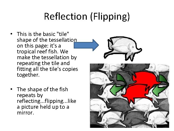 Reflection (Flipping) • This is the basic "tile" shape of the tessellation on this