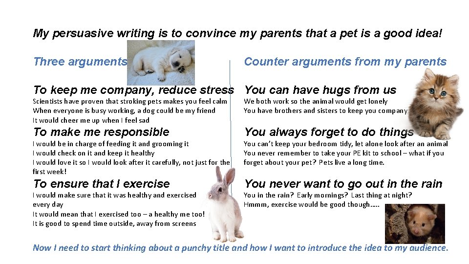 My persuasive writing is to convince my parents that a pet is a good