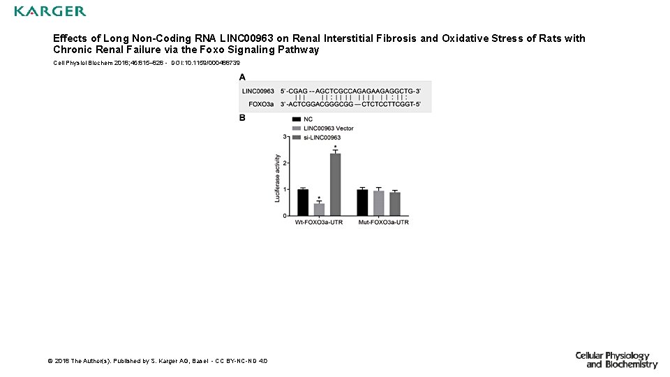 Effects of Long Non-Coding RNA LINC 00963 on Renal Interstitial Fibrosis and Oxidative Stress