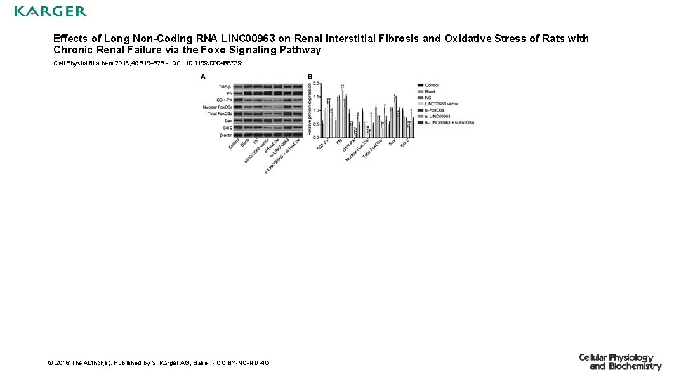 Effects of Long Non-Coding RNA LINC 00963 on Renal Interstitial Fibrosis and Oxidative Stress