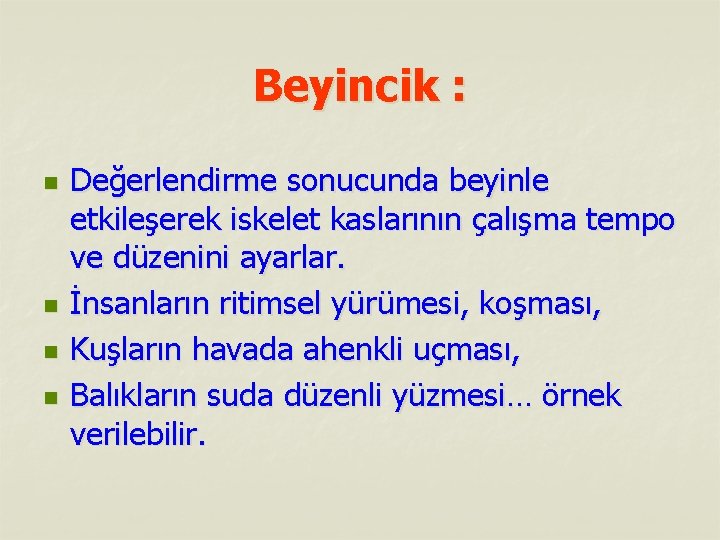 Beyincik : n n Değerlendirme sonucunda beyinle etkileşerek iskelet kaslarının çalışma tempo ve düzenini