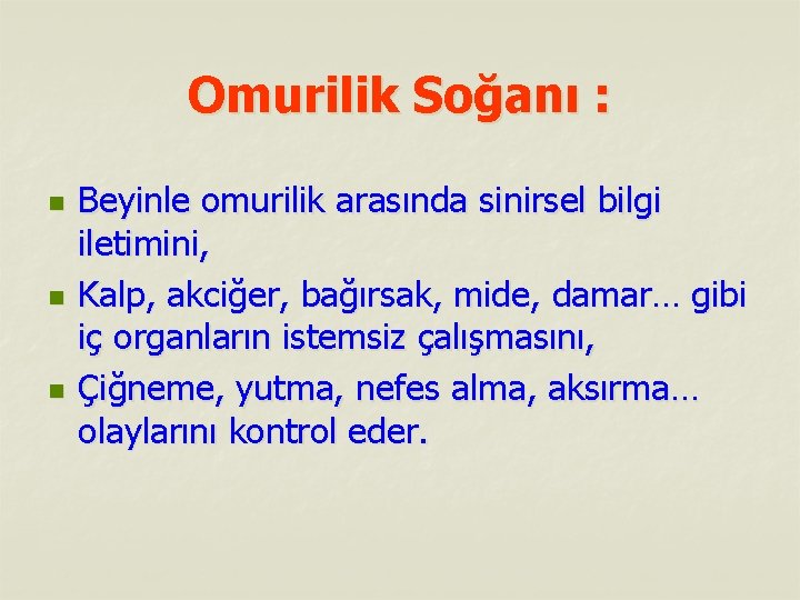 Omurilik Soğanı : n n n Beyinle omurilik arasında sinirsel bilgi iletimini, Kalp, akciğer,