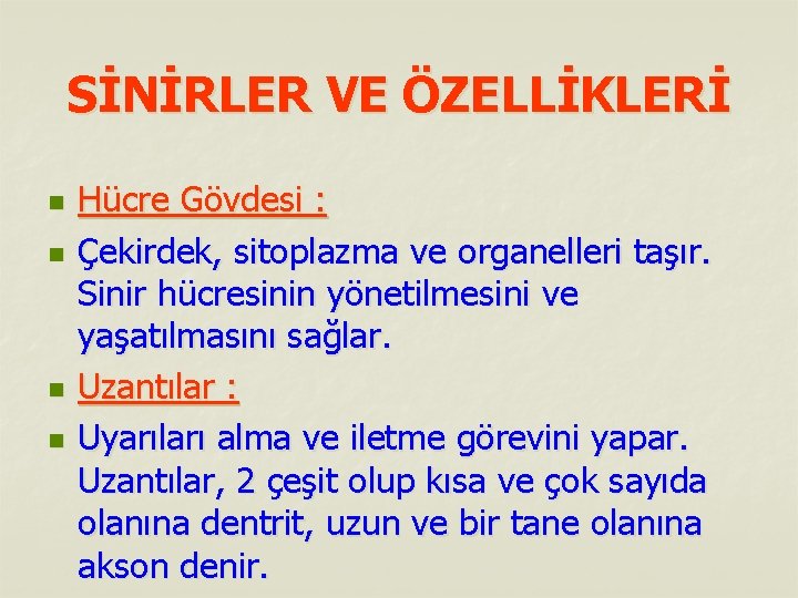 SİNİRLER VE ÖZELLİKLERİ n n Hücre Gövdesi : Çekirdek, sitoplazma ve organelleri taşır. Sinir