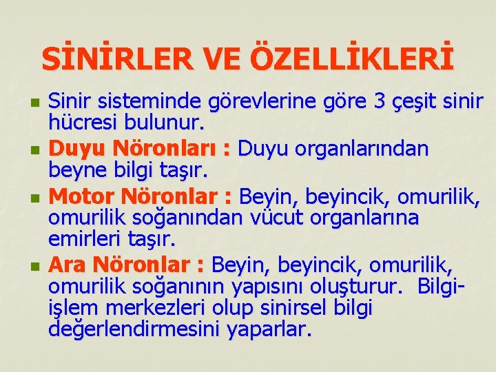 SİNİRLER VE ÖZELLİKLERİ n n Sinir sisteminde görevlerine göre 3 çeşit sinir hücresi bulunur.