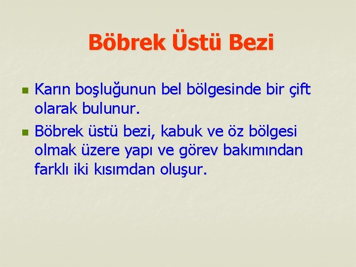 Böbrek Üstü Bezi n n Karın boşluğunun bel bölgesinde bir çift olarak bulunur. Böbrek