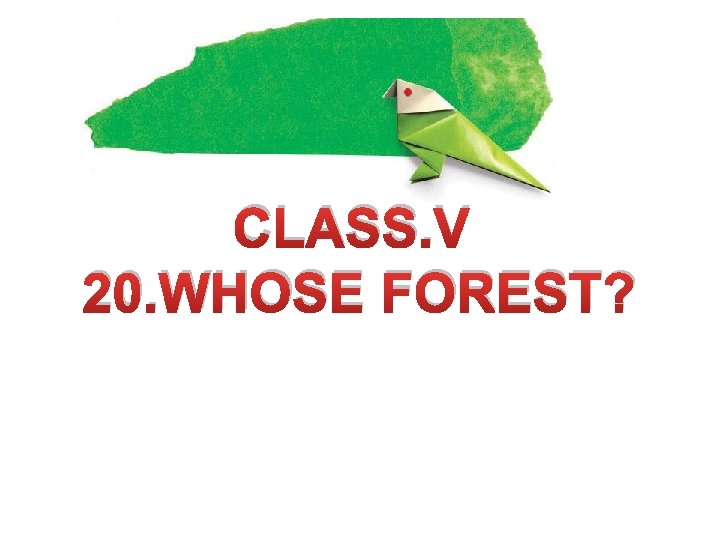 CLASS. V 20. WHOSE FOREST? 