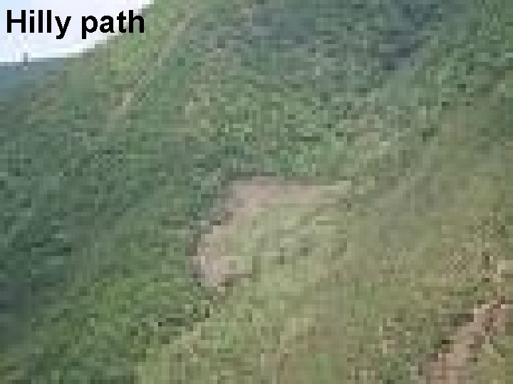 Hilly path 