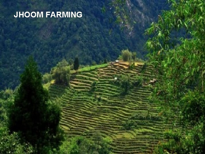 JHOOM FARMING 