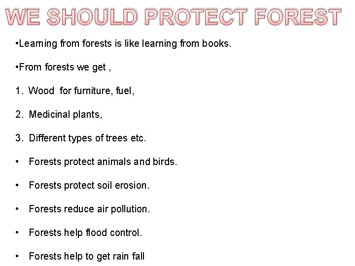 WE SHOULD PROTECT FOREST • Learning from forests is like learning from books. •