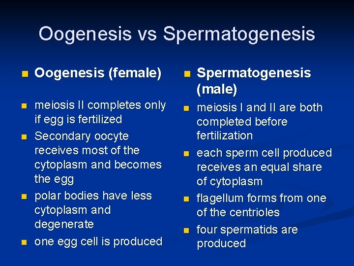 Oogenesis vs Spermatogenesis n Oogenesis (female) n meiosis II completes only if egg is