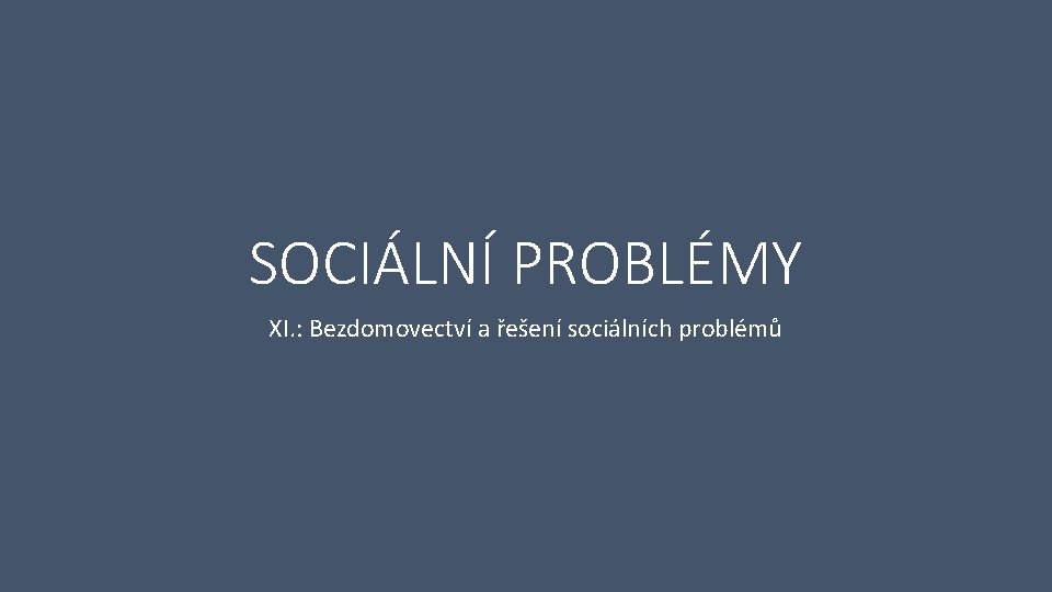 SOCIÁLNÍ PROBLÉMY XI. : Bezdomovectví a řešení sociálních problémů 