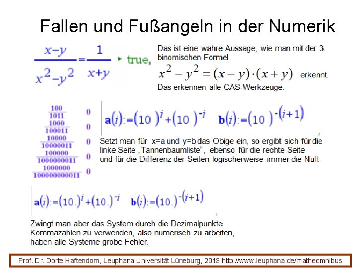 Fallen und Fußangeln in der Numerik Prof. Dr. Dörte Haftendorn, Leuphana Universität Lüneburg, 2013