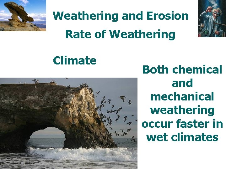 Weathering and Erosion Rate of Weathering Climate Both chemical and mechanical weathering occur faster