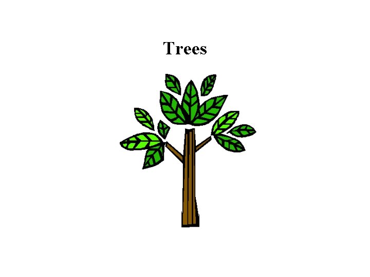 Trees Definiton Trees Family Tree Tree Definition A tree is
