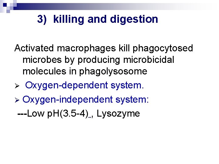 3) killing and digestion Activated macrophages kill phagocytosed microbes by producing microbicidal molecules in