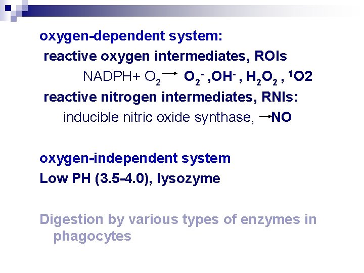 oxygen-dependent system: reactive oxygen intermediates, ROIs NADPH+ O 2 - , OH- , H