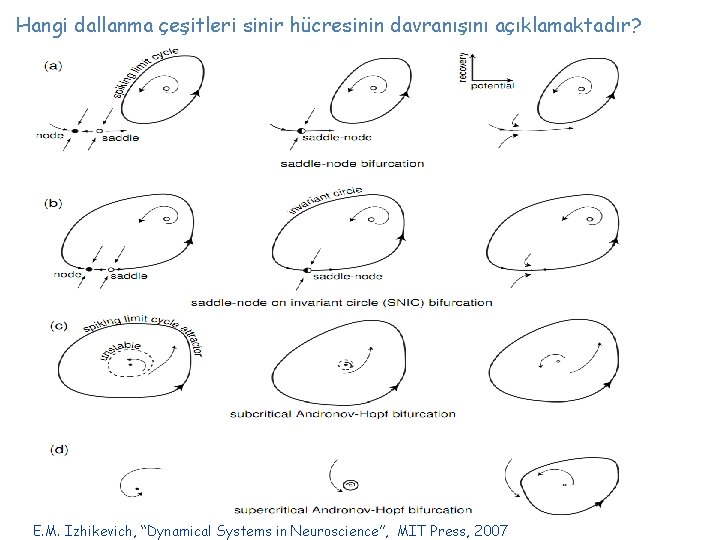 Hangi dallanma çeşitleri sinir hücresinin davranışını açıklamaktadır? E. M. Izhikevich, “Dynamical Systems in Neuroscience”,