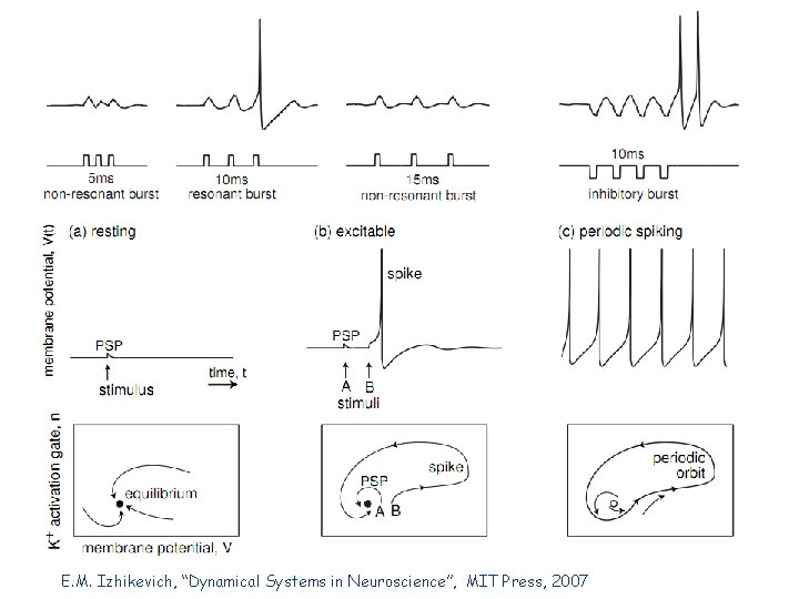 E. M. Izhikevich, “Dynamical Systems in Neuroscience”, MIT Press, 2007 