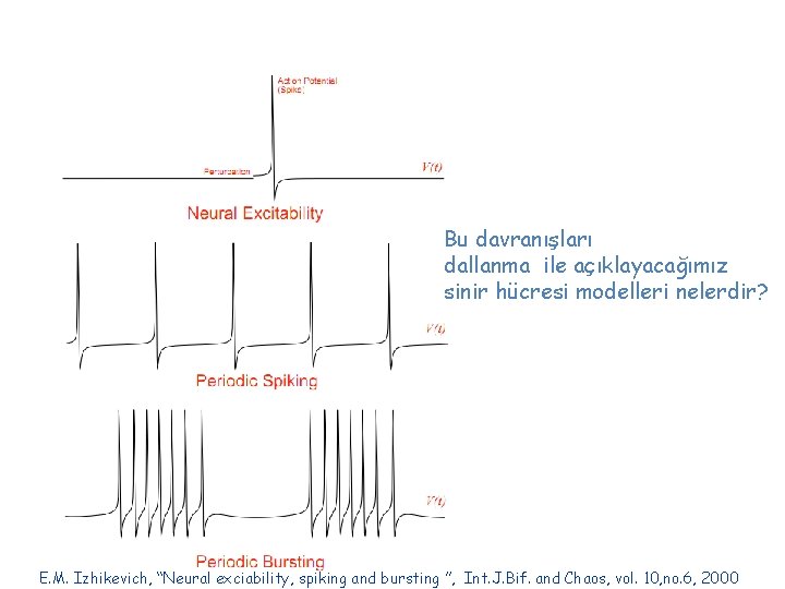 Bu davranışları dallanma ile açıklayacağımız sinir hücresi modelleri nelerdir? E. M. Izhikevich, “Neural exciability,