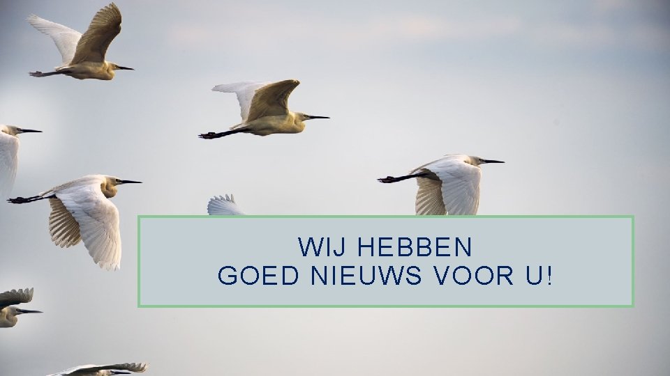 WIJ HEBBEN GOED NIEUWS VOOR U! 