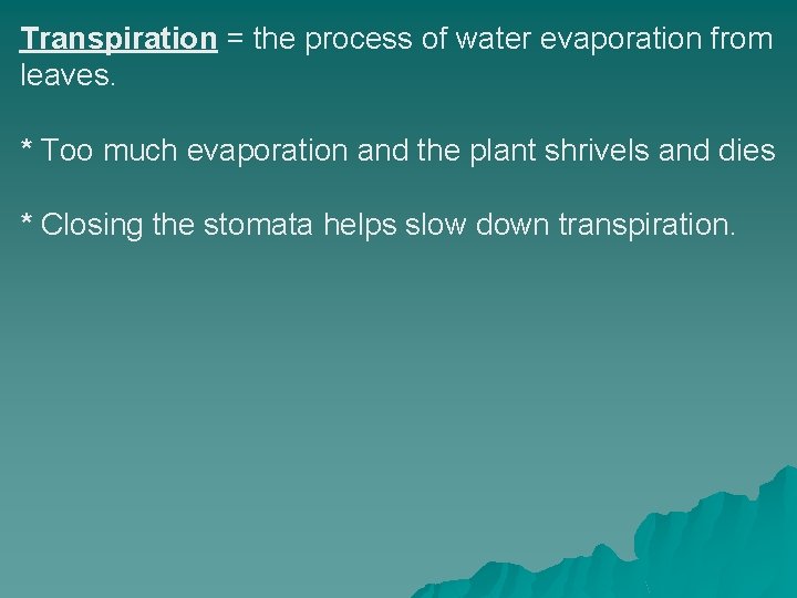 Transpiration = the process of water evaporation from leaves. * Too much evaporation and