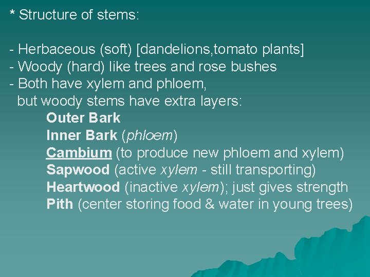 * Structure of stems: - Herbaceous (soft) [dandelions, tomato plants] - Woody (hard) like