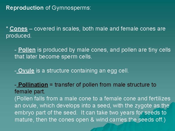 Reproduction of Gymnosperms: * Cones – covered in scales, both male and female cones