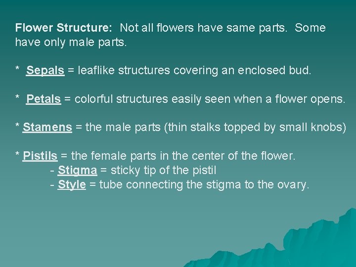 Flower Structure: Not all flowers have same parts. Some have only male parts. *
