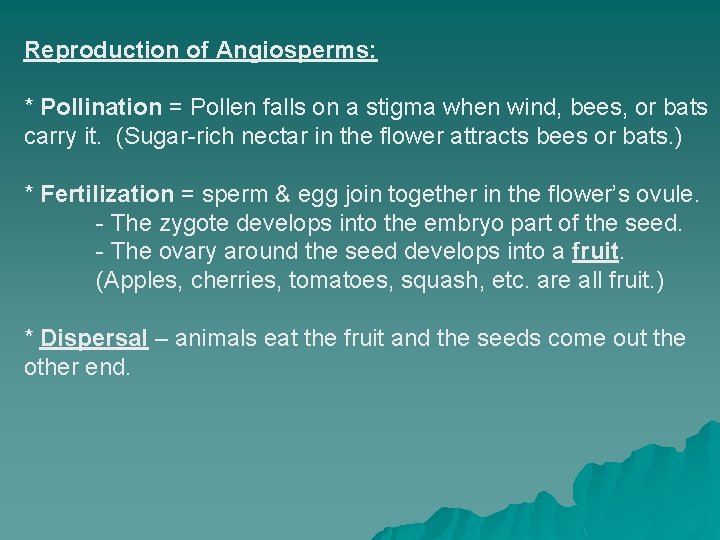 Reproduction of Angiosperms: * Pollination = Pollen falls on a stigma when wind, bees,