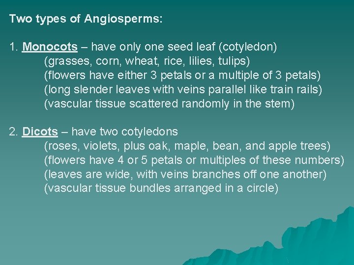 Two types of Angiosperms: 1. Monocots – have only one seed leaf (cotyledon) (grasses,