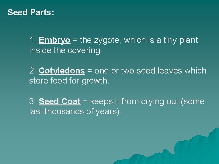 Seed Parts: 1. Embryo = the zygote, which is a tiny plant inside the