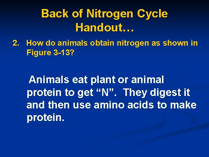 Back of Nitrogen Cycle Handout… 2. How do animals obtain nitrogen as shown in