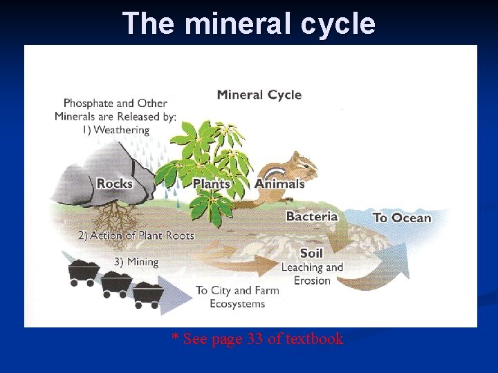 The mineral cycle * See page 33 of textbook 