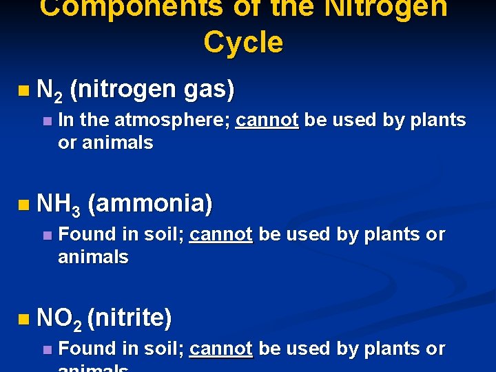 Components of the Nitrogen Cycle n N 2 n (nitrogen gas) In the atmosphere;