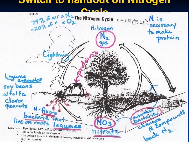 Switch to handout on Nitrogen Cycle 